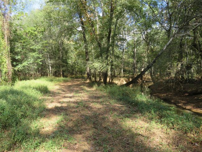 9795 S Us Highway 59, Home with 0 bedrooms, 0 bathrooms and null parking in Nacogdoches TX | Image 8