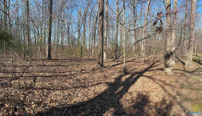 10.23 Main St, Home with 0 bedrooms, 0 bathrooms and null parking in Huntland TN | Image 8