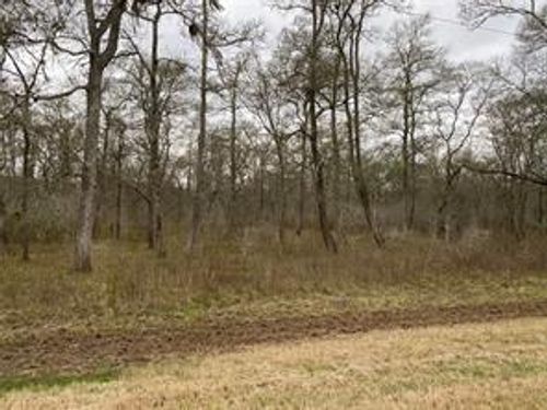 15530 Tierra Grande Dr, Needville, TX, 77461-8696 | Card Image