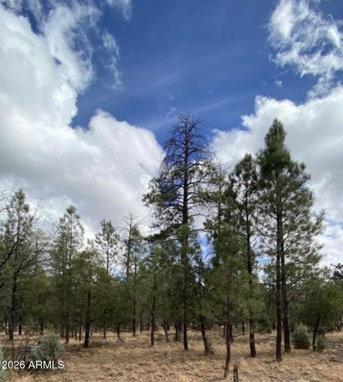 146-4395 Jack Pine Pl, Happy Jack, AZ, 86024 | Card Image