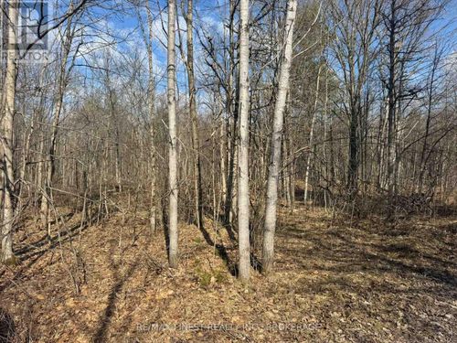 0 California Road, Stone Mills (Stone Mills), ON, K0K1Z0 | Card Image