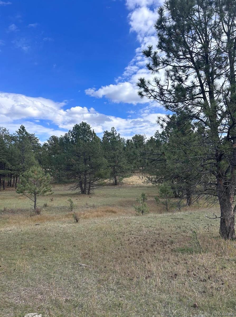 Land in Florissant 4