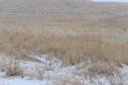 TBD Tbd, Connell, WA, 99326 | Card Image