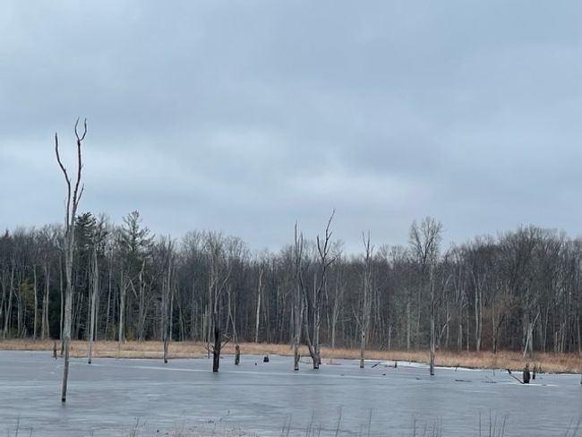 Lake Wilhelm. | Image 19
