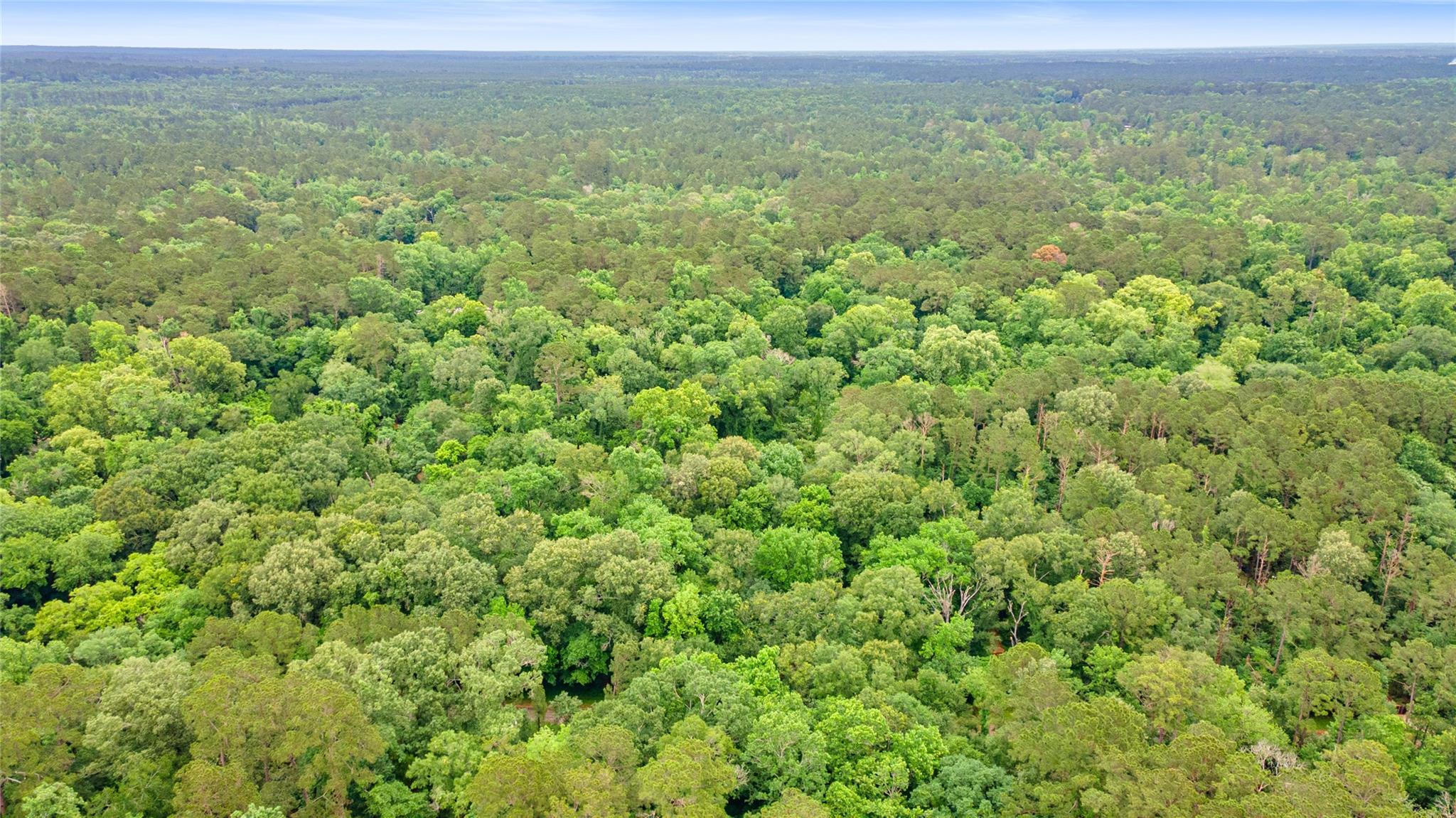 Land in Conroe 2