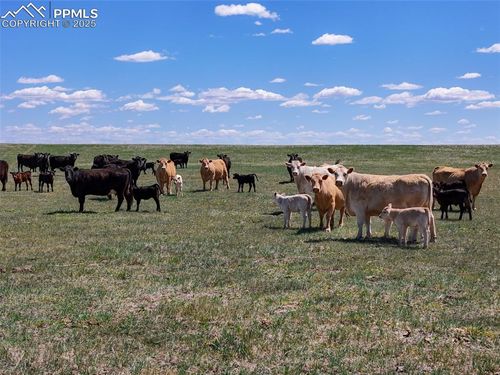 18497 County Road 197, Limon, CO, 80828 | Card Image