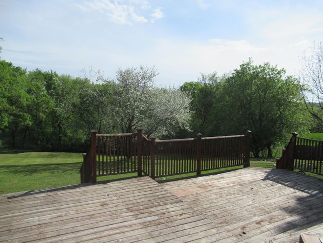 Backyard 2.JPG | Image 5