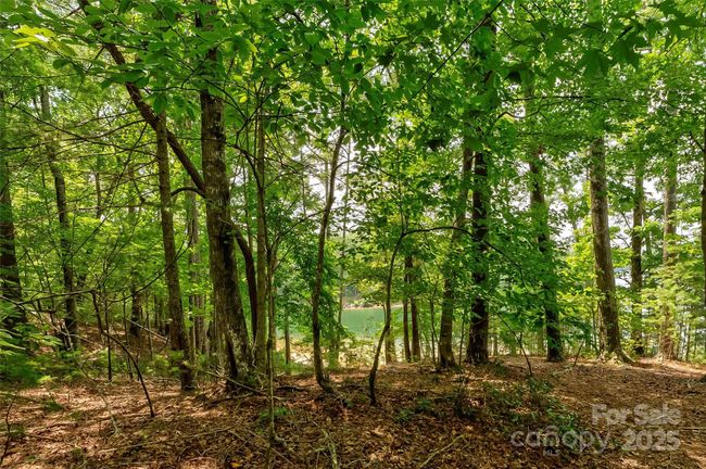 62 - 159 Deerberry Dr, Home with 0 bedrooms, 0 bathrooms and null parking in Nebo NC | Image 21
