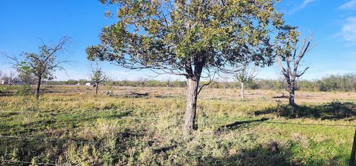201 Orchard Ln, Mertzon, TX, 76941-6215 | Card Image