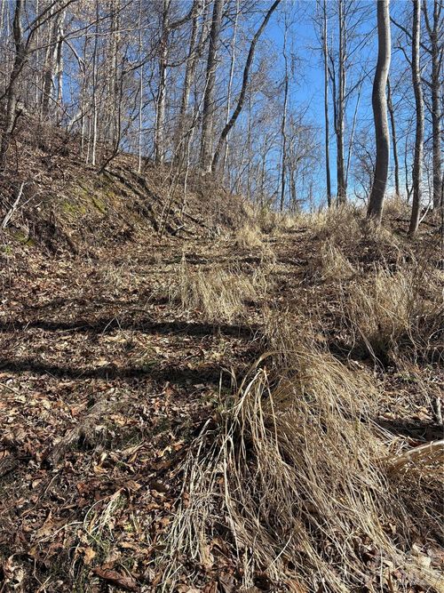 71-344 Running Deer Ln, Mars Hill, NC, 28754-0749 | Card Image