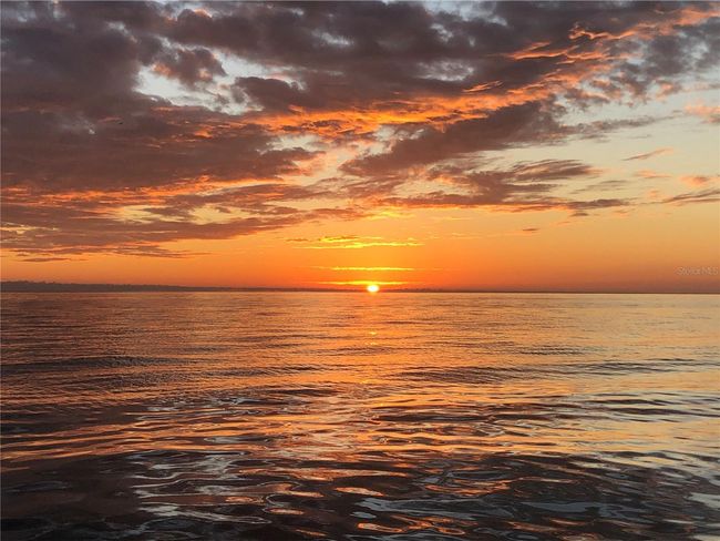 Sunset West Coast | Image 50