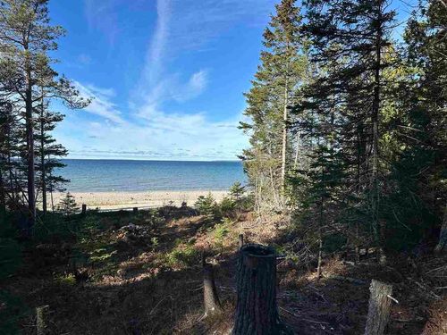 32010 Mrs Reddings Trl, Beaver Island, MI, 49782 | Card Image