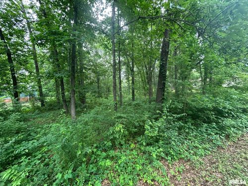 000 White Birch Ct, Benton, IL, 62812 | Card Image