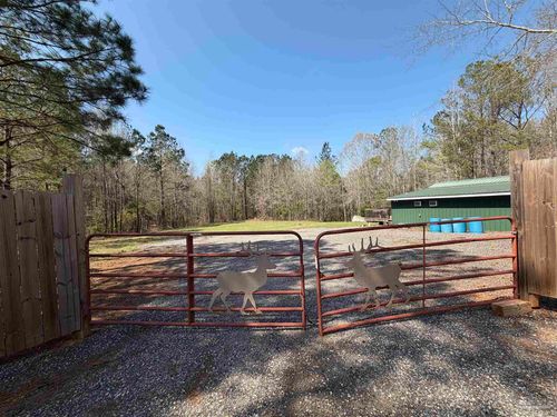 00 Mixonville Rd, Mc Kenzie, AL, 36456 | Card Image