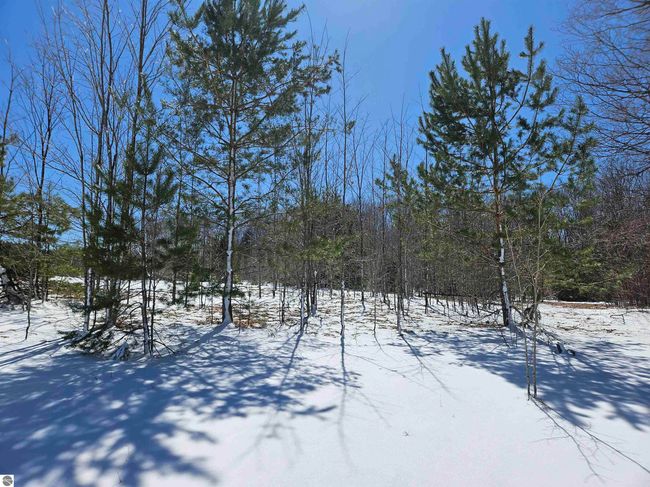 0000 V/L "C" Grass Lake Road, Home with 0 bedrooms, 0 bathrooms and null parking in Kalkaska MI | Image 5