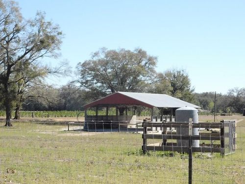 566 NE Ne Magnolia Rd, BRANFORD, FL, 32008-5364 | Card Image