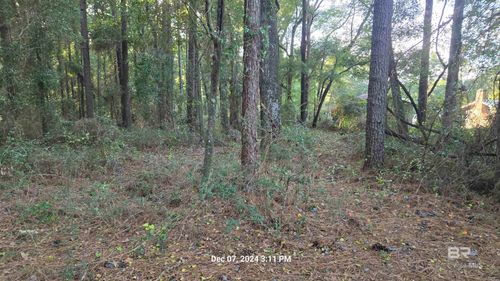 0 Wilson Lane, Fairhope, AL, 36532-6874 | Card Image