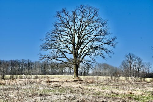 19XXX 150th Avenue, Milaca, MN, 56353 | Card Image