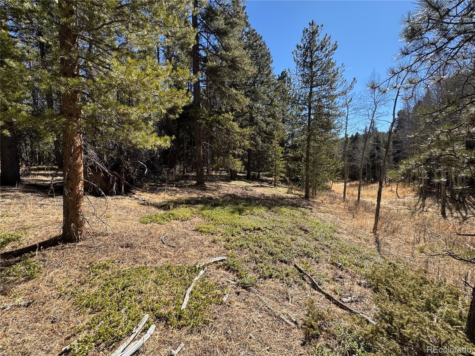 Land in Conifer 3