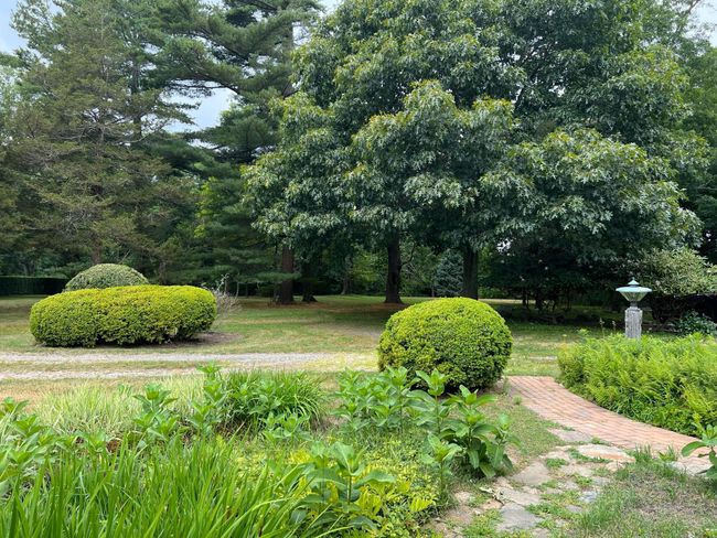 entry | Image 5