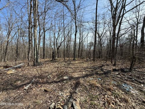 Lot 69 Log Rd, Spring City, TN, 37381-7007 | Card Image