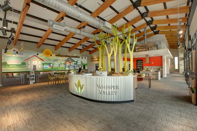 Sustainable living is not only closer than you think, it’s also convenient to everything in Austin. | Image 7