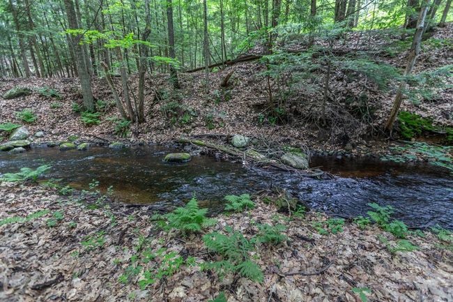 31 Southwest Rd, House other with 3 bedrooms, 2 bathrooms and null parking in Canterbury NH | Image 30