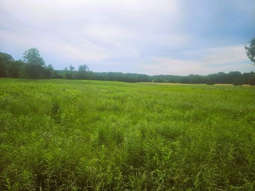 0000 N Stanford Ln, Opdyke, IL, 62872 | Card Image