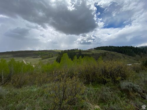 41-41 Grouse Loop Rd, Freedom, WY, 83120 | Card Image