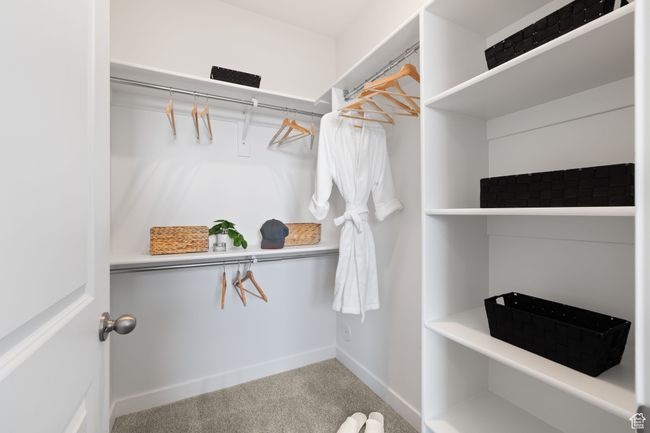 Spacious closet with carpet | Image 21