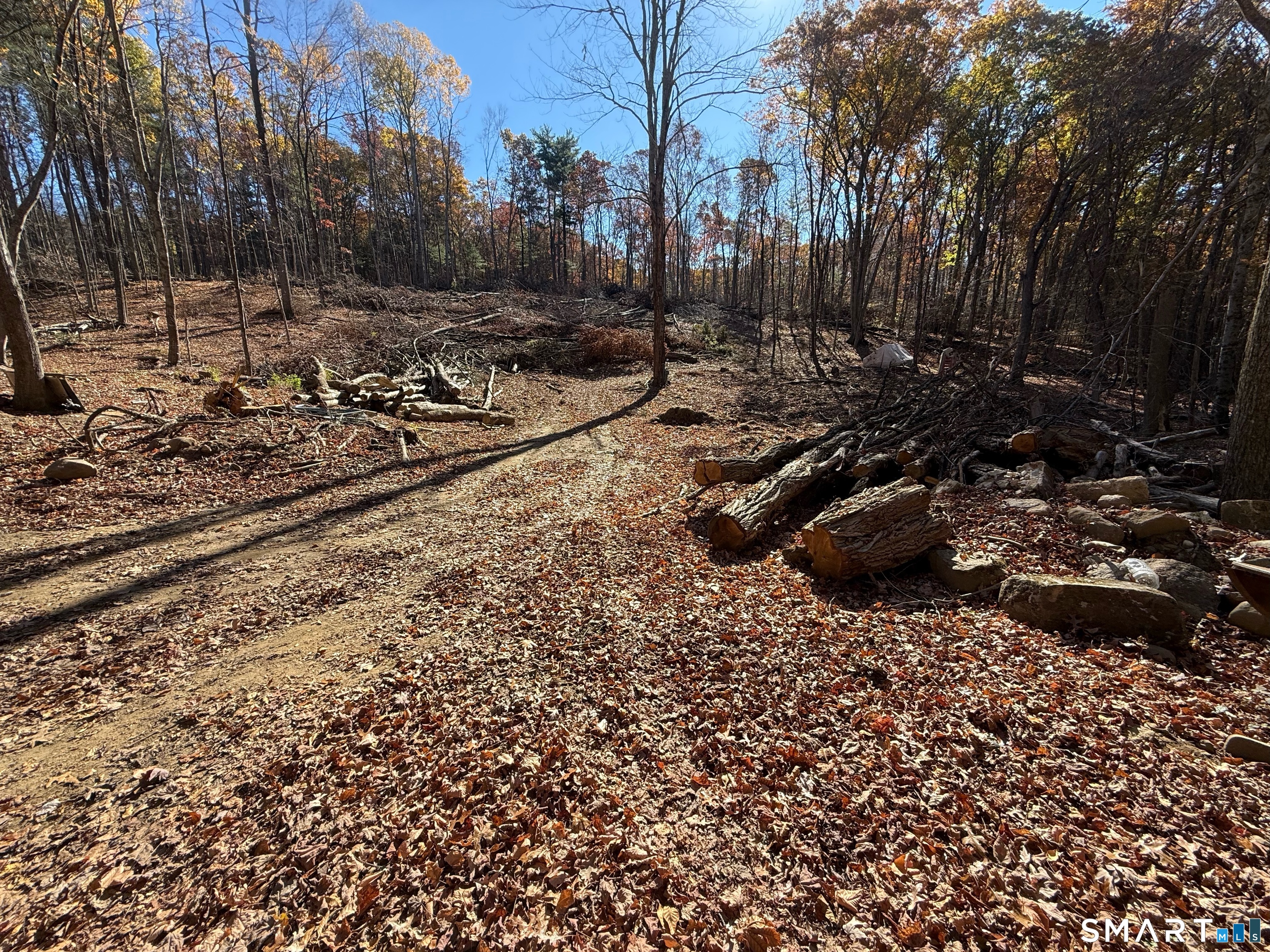 Land in Ashford 5