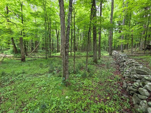 TBD State Route 209, Wurtsboro, NY, 12790 | Card Image