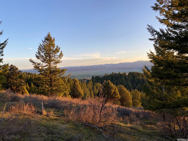 View of property view of mountains | Image 30