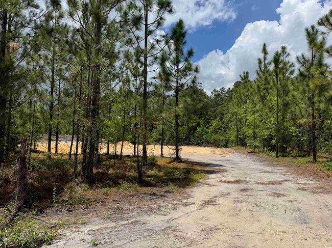 1698 Carriage Dr, Home with 0 bedrooms, 0 bathrooms and null parking in Loris SC | Image 5