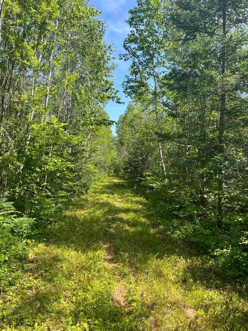 1961 Town Road 118, Birchdale, MN, 56629 | Card Image