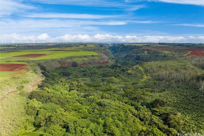 LOT-35 - 0000 Kamehameha Hwy, Home with 0 bedrooms, 0 bathrooms and null parking in Haleiwa HI | Image 5