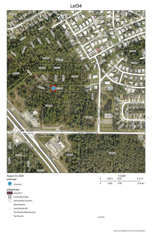 Lot 34 Wolf Branch Rd, MOUNT DORA, FL, 32757 | Card Image
