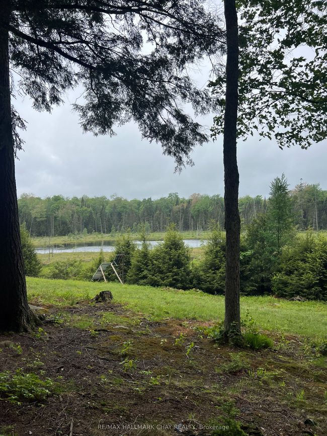 0 Chapman Strong Rd, Home with 0 bedrooms, 0 bathrooms and 8 parking in Sundridge ON | Image 18