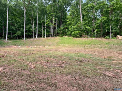 LOTS 82 AND 83 Wyeth Dr, Guntersville, AL, 35976 | Card Image