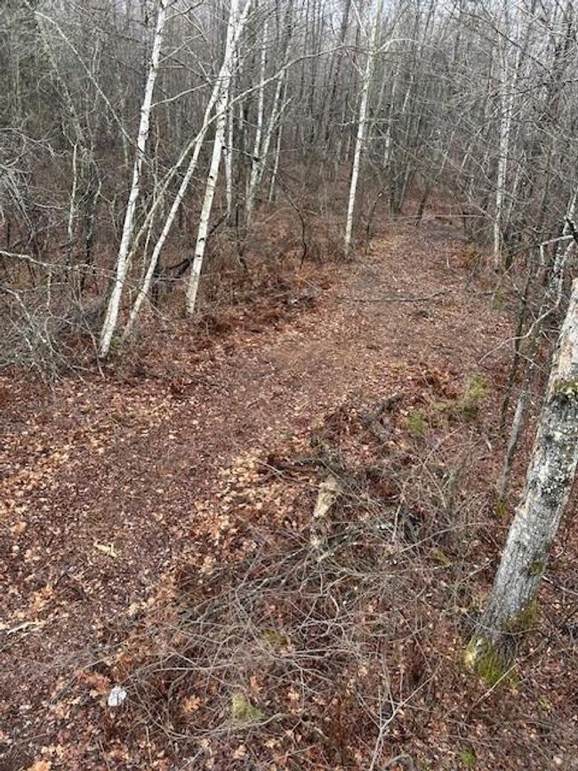 Tractor has a great brush mower. | Image 12