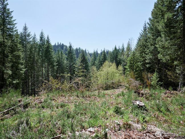 Acreage | Image 11