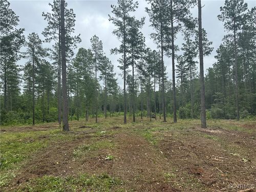 Lot 4 Chopt Rd, Gum Spring, VA, 23065 | Card Image