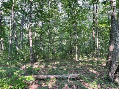 Lot 3 Eagle Nest Rd., Home with 0 bedrooms, 0 bathrooms and null parking in Mcminnville TN | Image 3