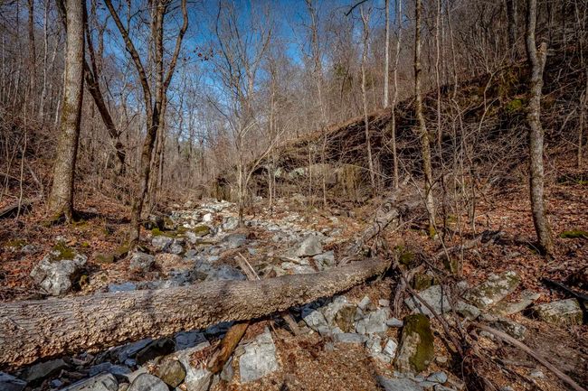 00 Bear Skin Dr, Home with 0 bedrooms, 0 bathrooms and null parking in Harriet AR | Image 12
