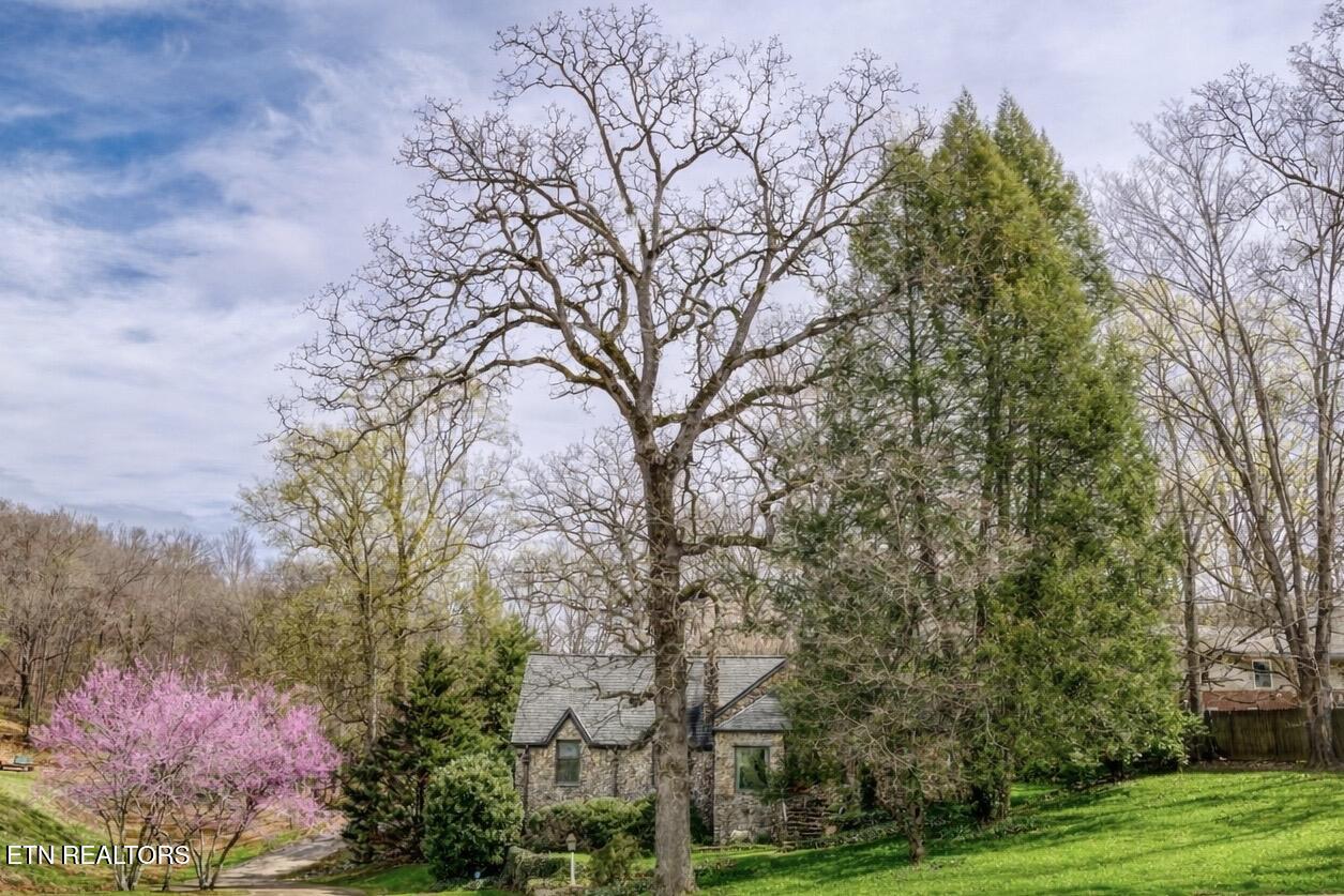 Residential in Knoxville 4