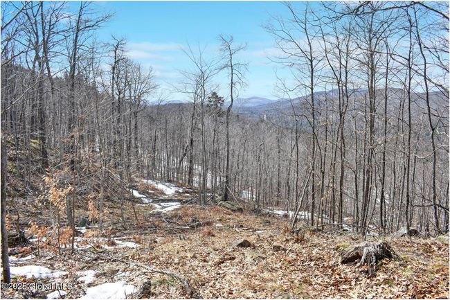 48 Durkin Rd, Home with 0 bedrooms, 0 bathrooms and null parking in North Creek NY | Image 21