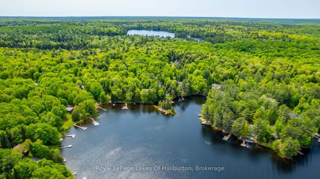 1700 Kushog Lake Rd, House other with 3 bedrooms, 2 bathrooms and 2 parking in Algonquin Highlands ON | Image 42