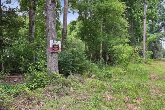 3705 Haynes Loop, Home with 0 bedrooms, 0 bathrooms and null parking in Kountze TX | Image 8