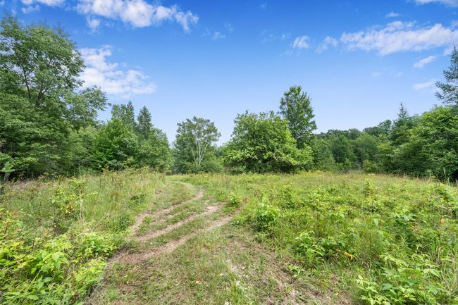 5004 N Cypress Ave, Home with 0 bedrooms, 0 bathrooms and null parking in Big Rapids MI | Image 6
