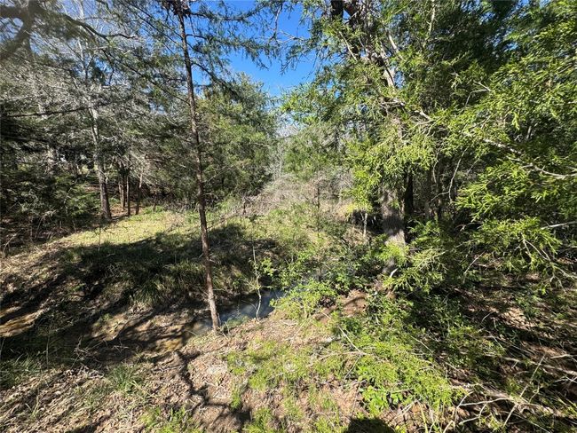 View of nature featuring a wooded view | Image 9